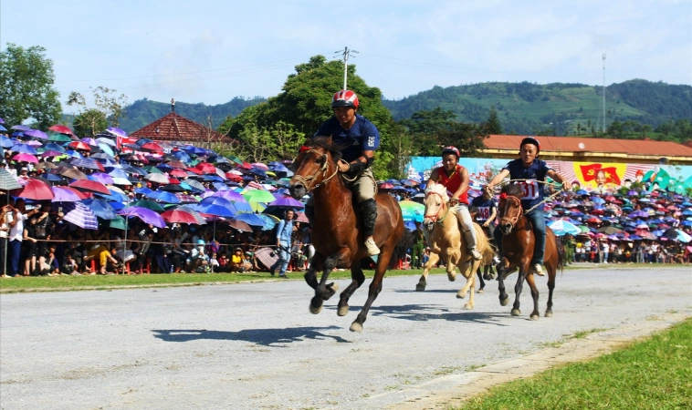 Đua Ngựa Vinbet: Tham Gia Cá Cược Đua Ngựa Siêu Hấp Dẫn 9 Đua Ngựa Vinbet: Tham Gia Cá Cược Đua Ngựa Siêu Hấp Dẫn